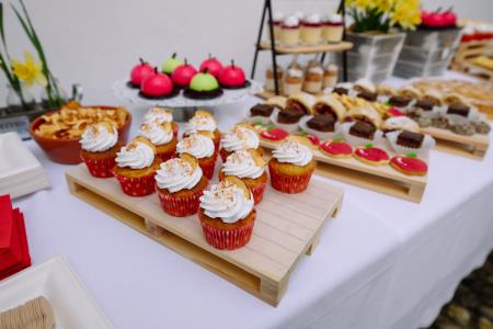 otvoritev grad Podsreda, 26.3.2025_Izidor Kotnik (117)